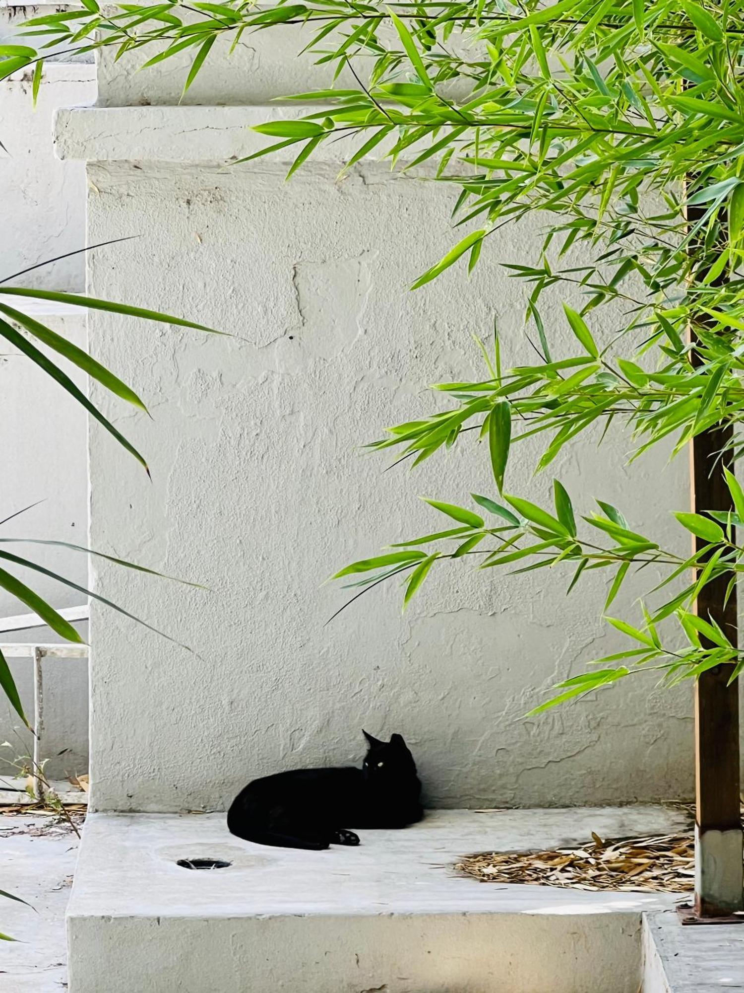 Lisbon Guests Apartments Екстериор снимка